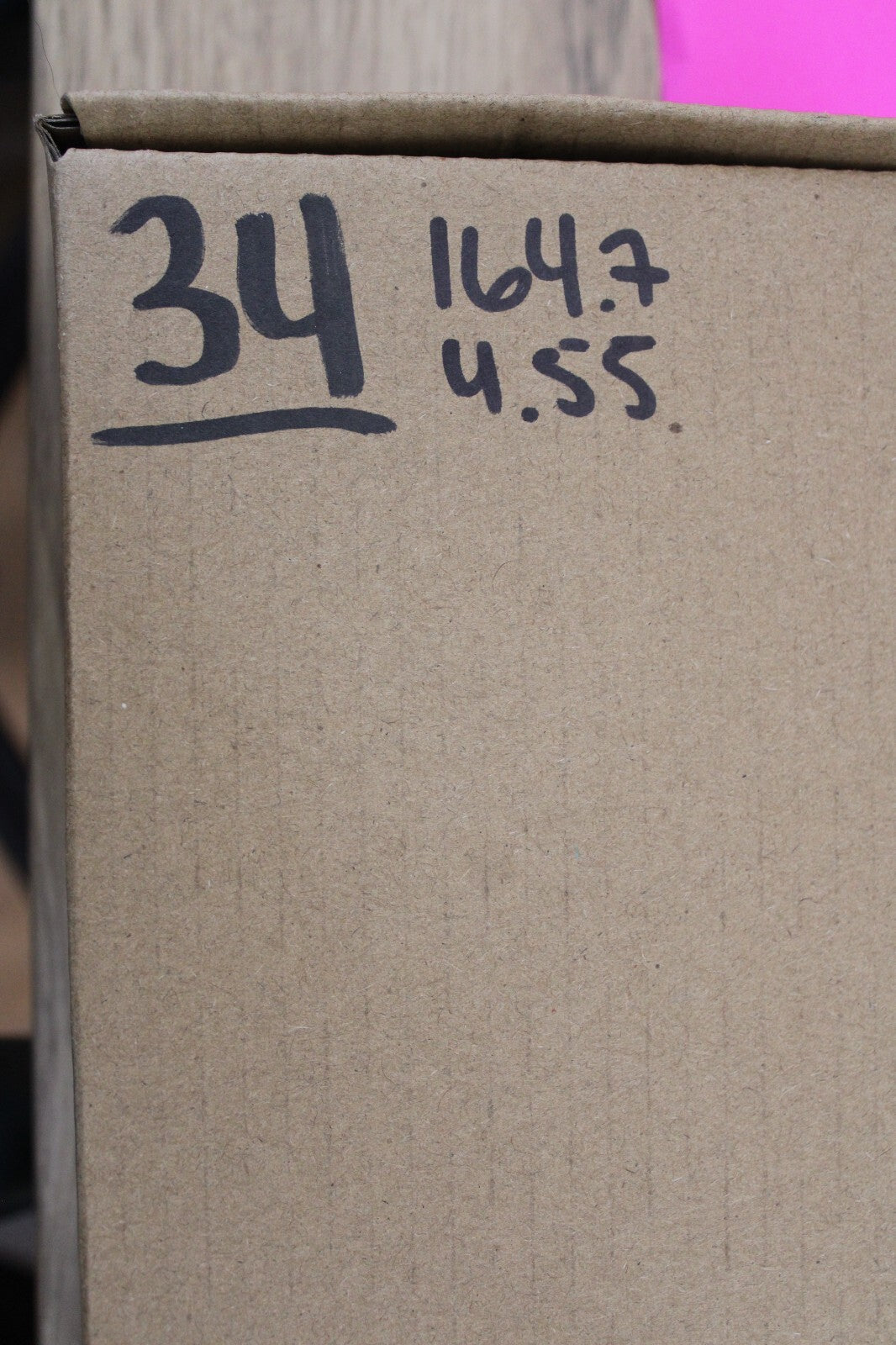 Authentic Megadolon Shark Tooth 4.55 Inch 164 Grams Fossil Dinosaur Girl COA M34