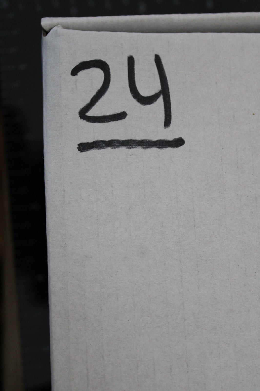 Giant Lizard Poop 5 Million Years Old Genuine Real Fossil Dinosaur Girl COA L24