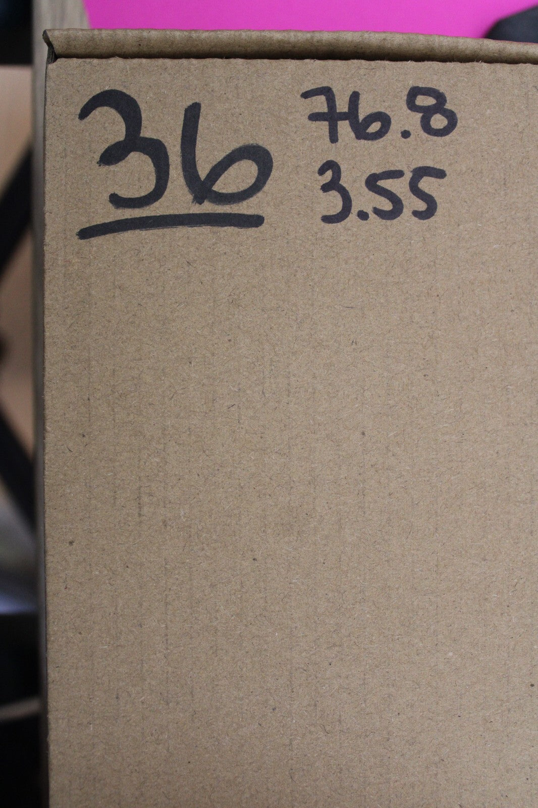 Authentic Megadolon Shark Tooth 3.55 Inch 76 Grams Fossil Dinosaur Girl COA M36