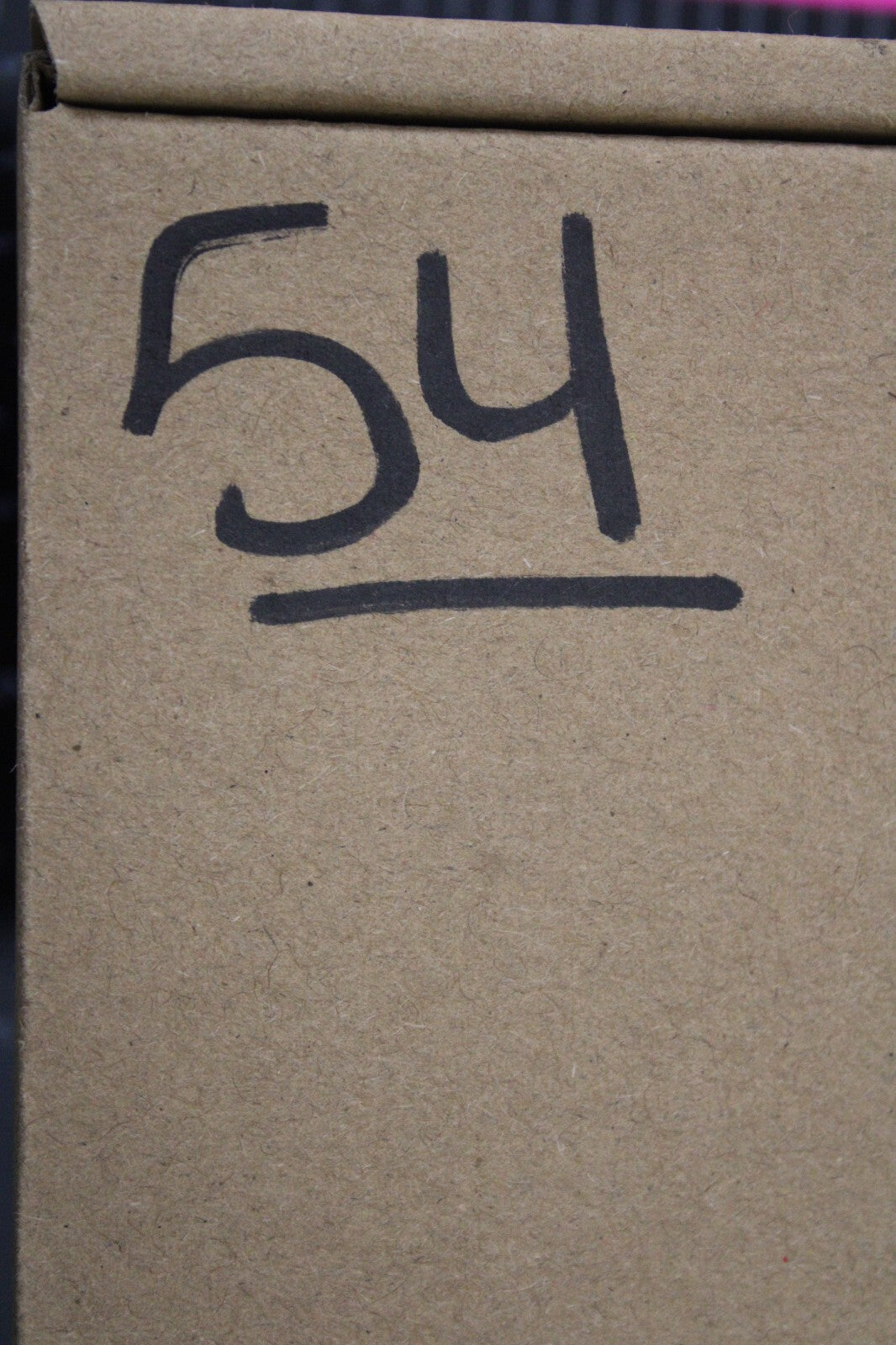 Giant Lizard Poop 5 Million Years Old Genuine Real Fossil Dinosaur Girl COA S54