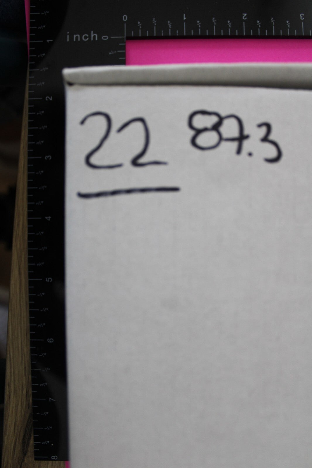 Authentic Trilobite Geode Real Fossil 450 Million Years Old Dinosaur Girl COA 22