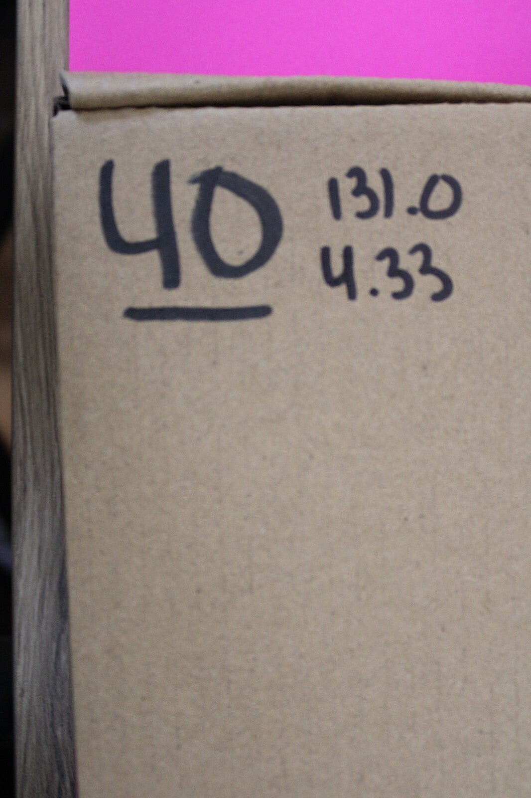 Authentic Megadolon Shark Tooth 4.33 Inch 131 Grams Fossil Dinosaur Girl COA M40