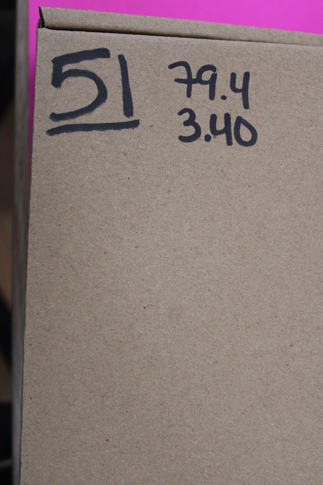 Authentic Megadolon Shark Tooth 3.4 Inch 79 Grams Fossil Dinosaur Girl COA M51