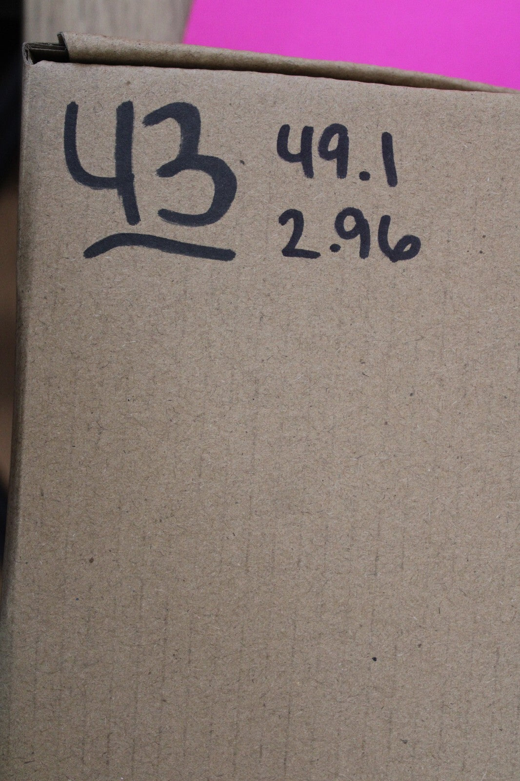 Authentic Megadolon Shark Tooth 2.96 Inch 49 Grams Fossil Dinosaur Girl COA M43