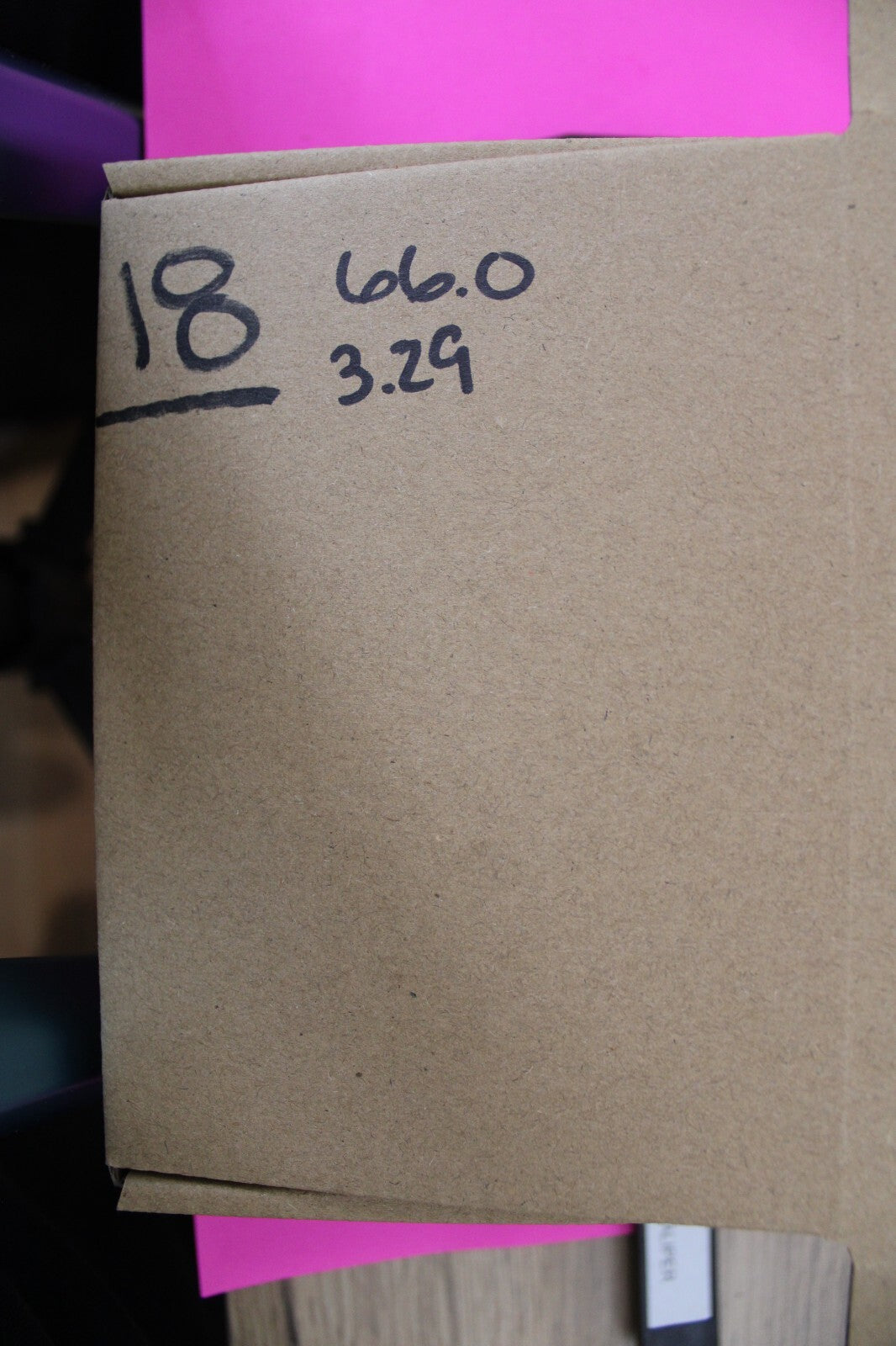 Authentic Megadolon Shark Tooth 3.29 Inch 66 Grams Fossil Dinosaur Girl COA M18