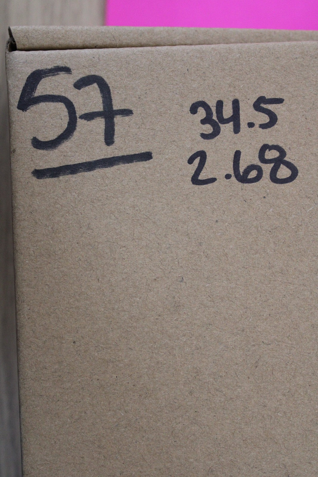 Authentic Megadolon Shark Tooth 2.68 Inch 34 Grams Fossil Dinosaur Girl COA M57