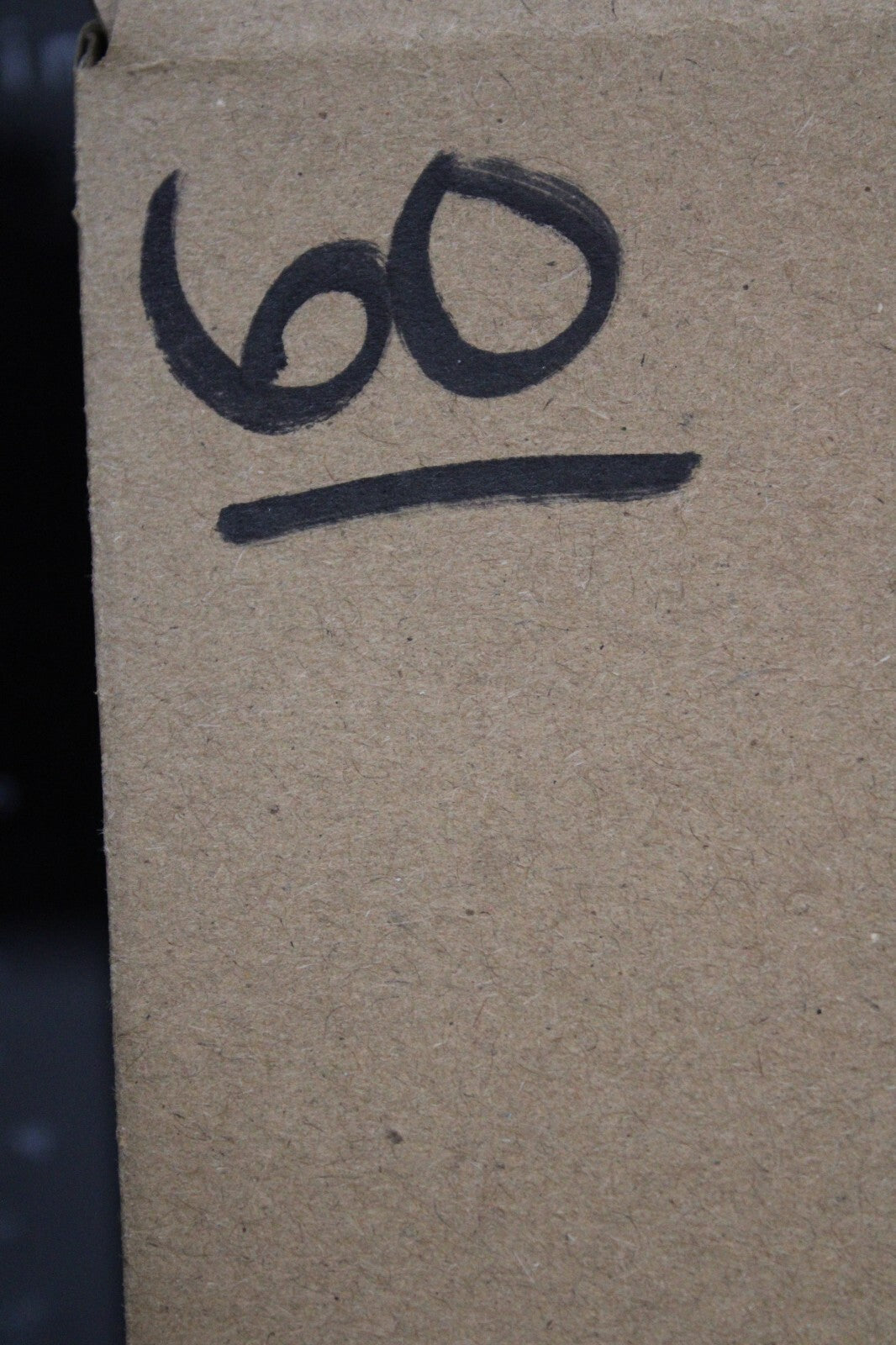 Giant Lizard Poop 5 Million Years Old Genuine Real Fossil Dinosaur Girl COA S60