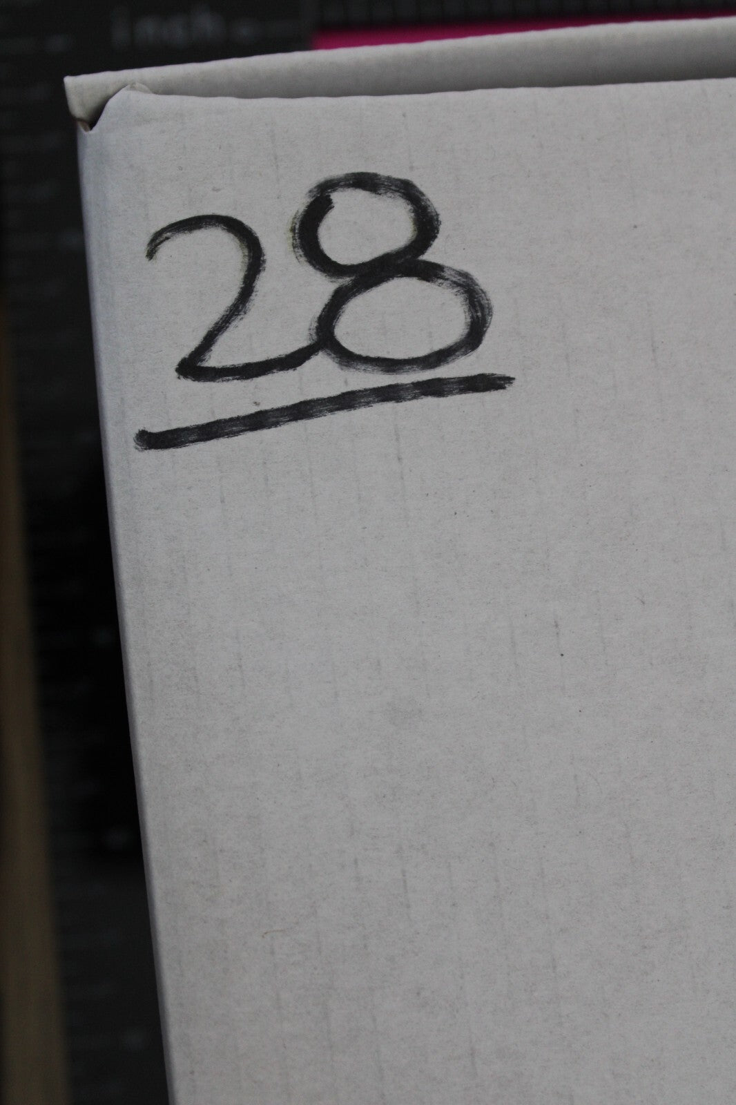 Giant Lizard Poop 5 Million Years Old Genuine Real Fossil Dinosaur Girl COA L28