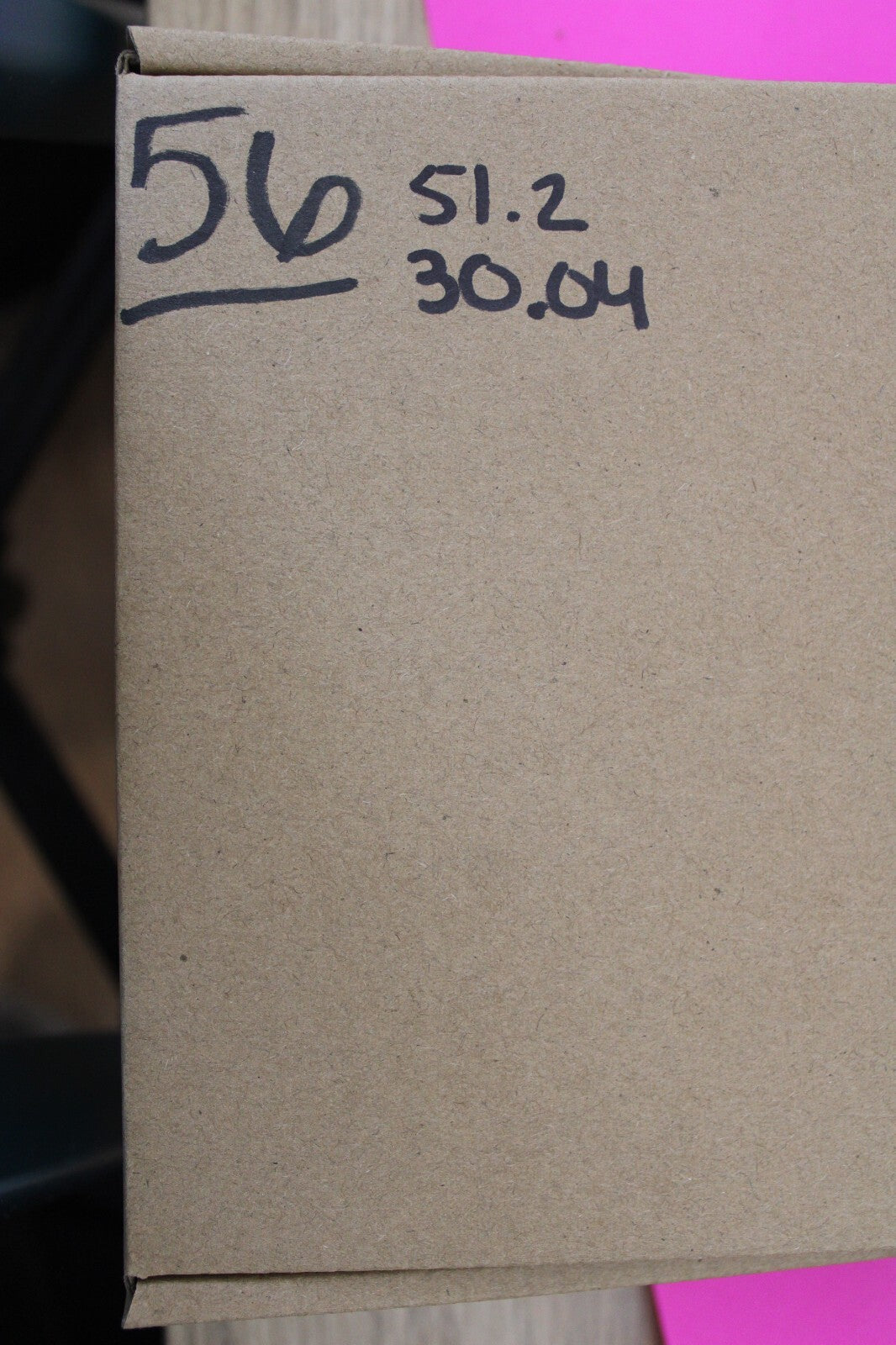 Authentic Megadolon Shark Tooth 3.04 Inch 51 Grams Fossil Dinosaur Girl COA M56