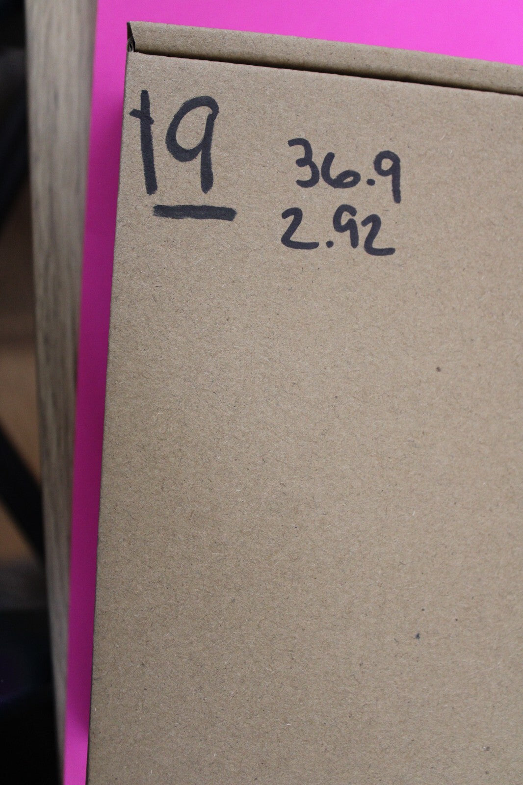 Authentic Megadolon Shark Tooth 2.92 Inch 36 Grams Fossil Dinosaur Girl COA M19