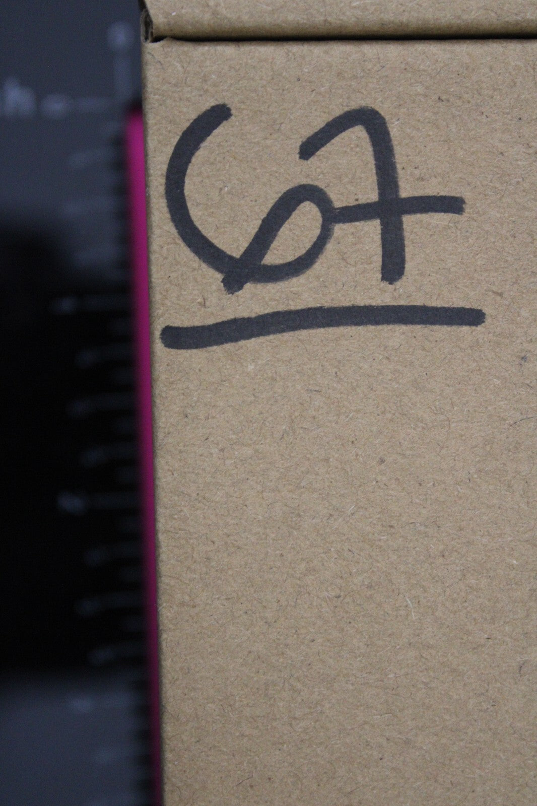 Giant Lizard Poop 5 Million Years Old Genuine Real Fossil Dinosaur Girl COA S67