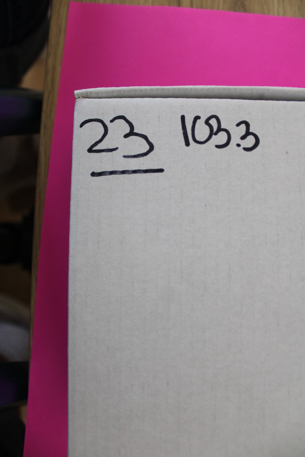 Authentic Trilobite Geode Real Fossil 450 Million Years Old Dinosaur Girl COA 23