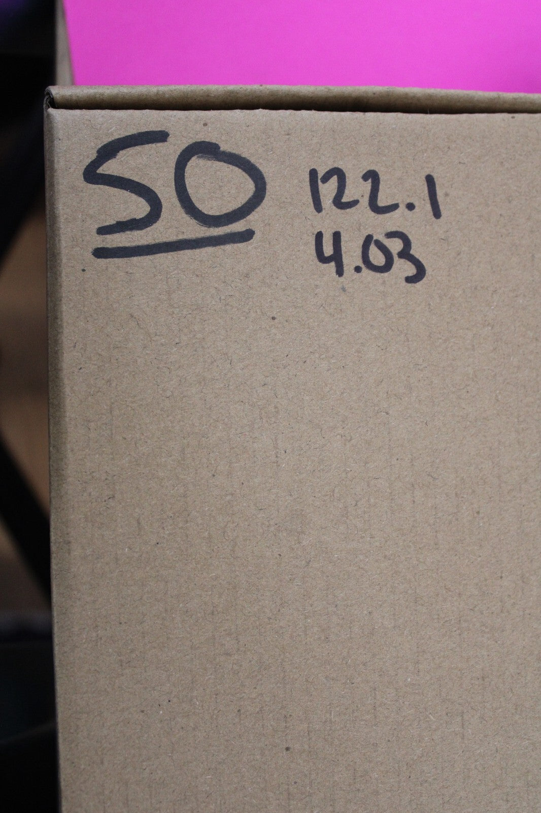 Authentic Megadolon Shark Tooth 4.03 Inch 122 Grams Fossil Dinosaur Girl COA M50