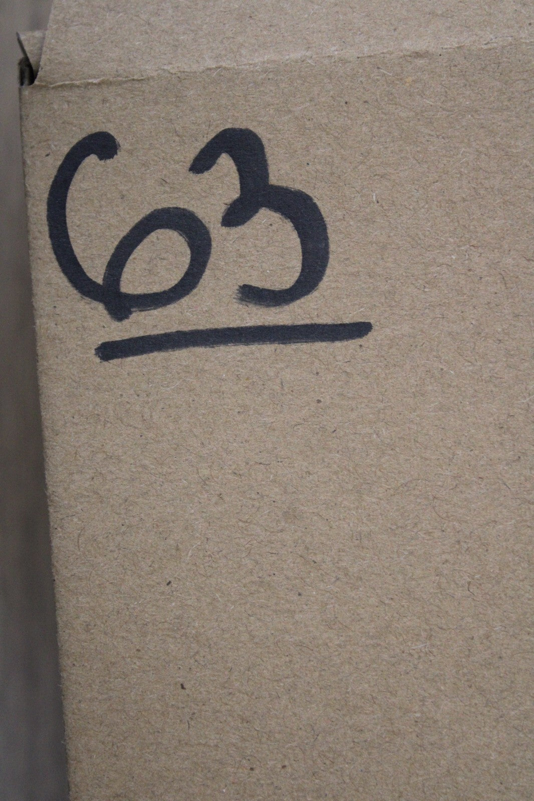 Giant Lizard Poop 5 Million Years Old Genuine Real Fossil Dinosaur Girl COA S63