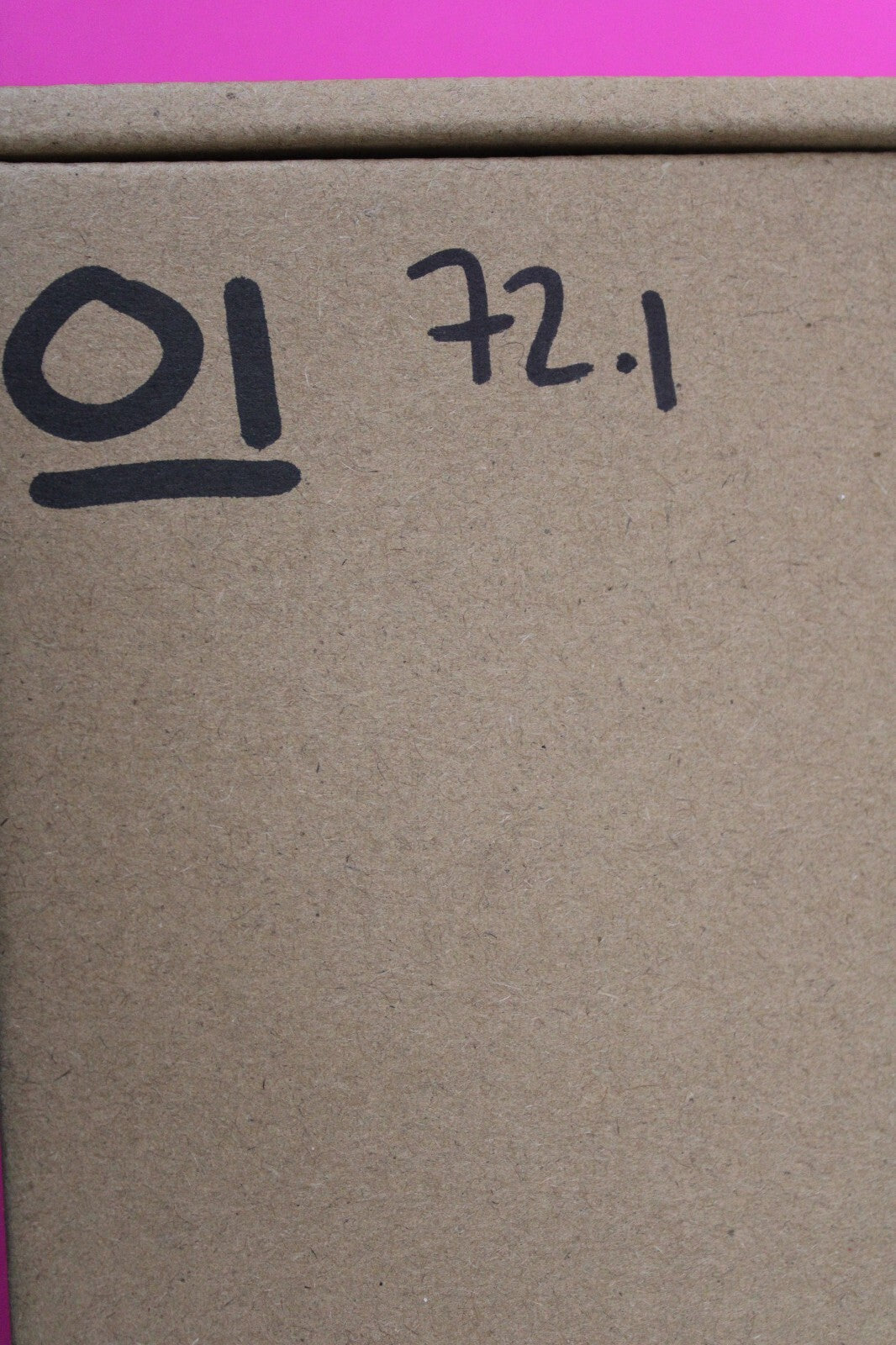 Authentic Trilobite Geode Real Fossil 450 Million Years Old Dinosaur Girl COA 01