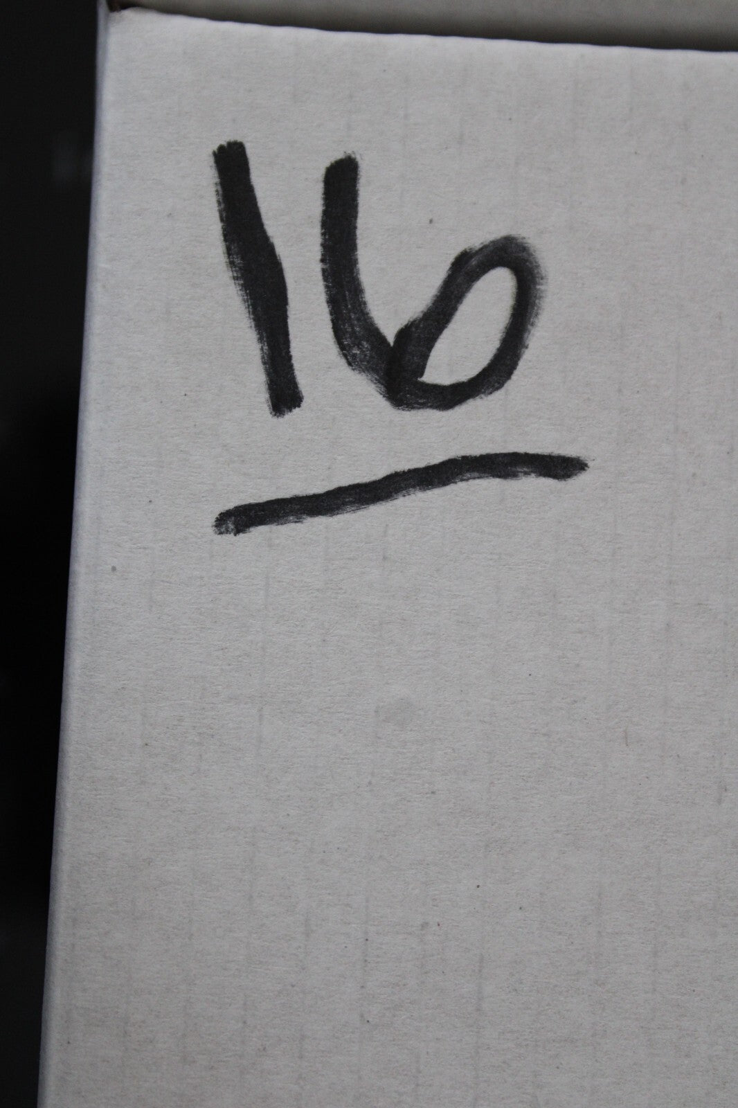 Giant Lizard Poop 5 Million Years Old Genuine Real Fossil Dinosaur Girl COA L16