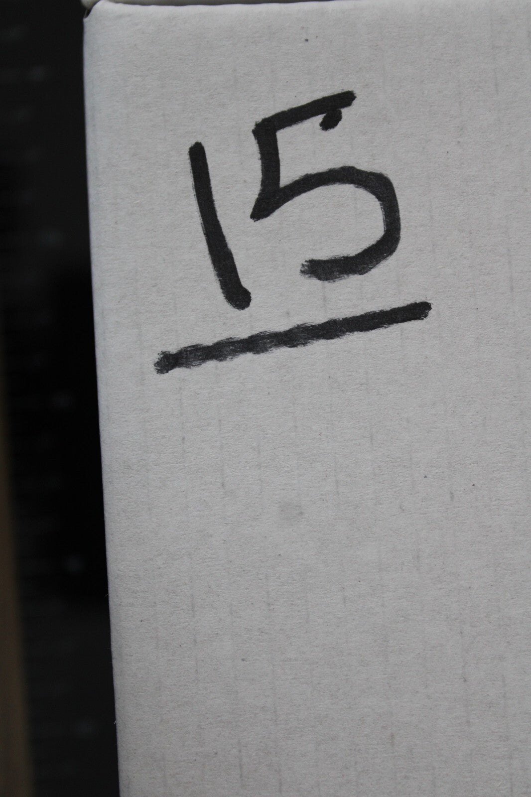 Giant Lizard Poop 5 Million Years Old Genuine Real Fossil Dinosaur Girl COA L15