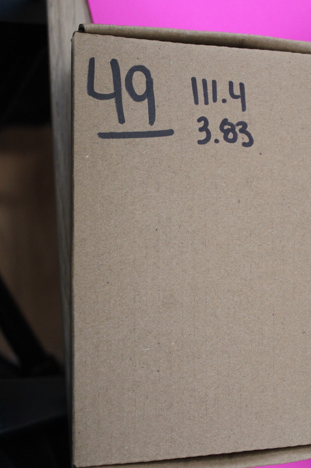 Authentic Megadolon Shark Tooth 3.83 Inch 111 Grams Fossil Dinosaur Girl COA M49