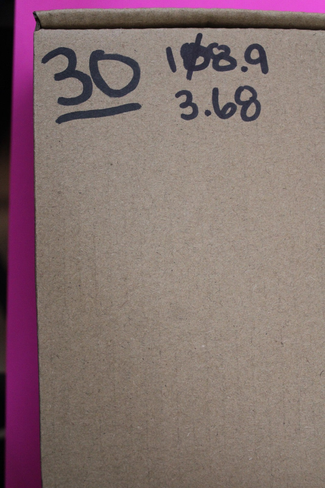 Authentic Megadolon Shark Tooth 3.68 Inch 108 Grams Fossil Dinosaur Girl COA M30