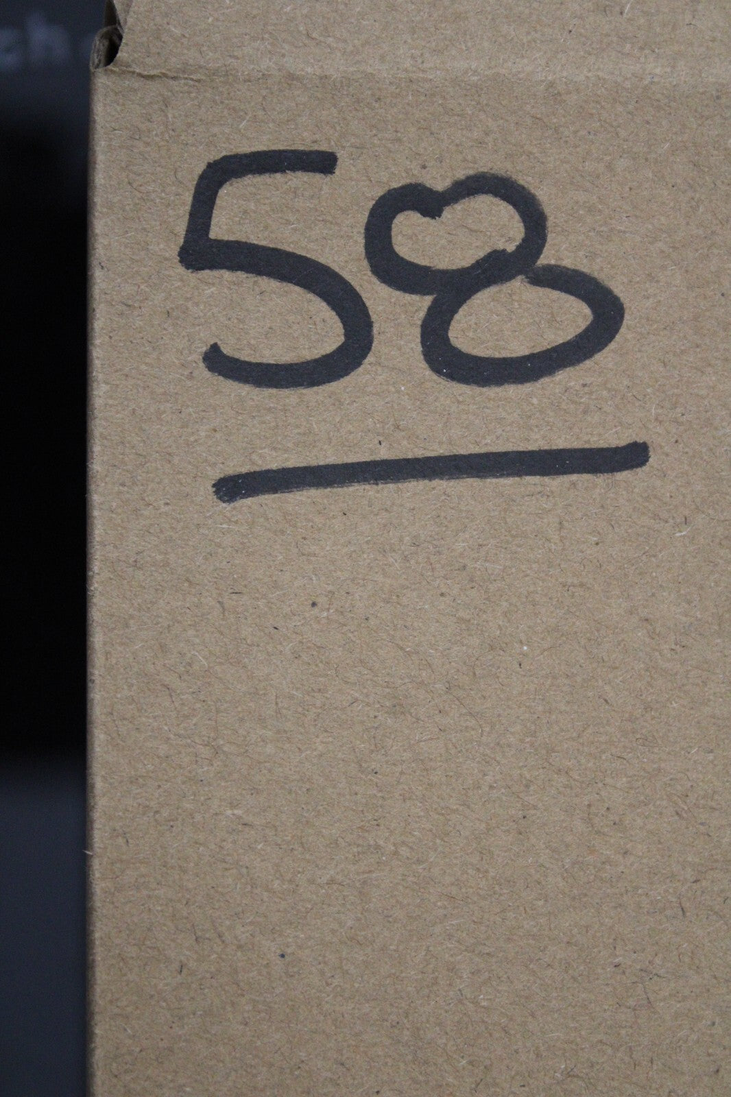 Giant Lizard Poop 5 Million Years Old Genuine Real Fossil Dinosaur Girl COA S58