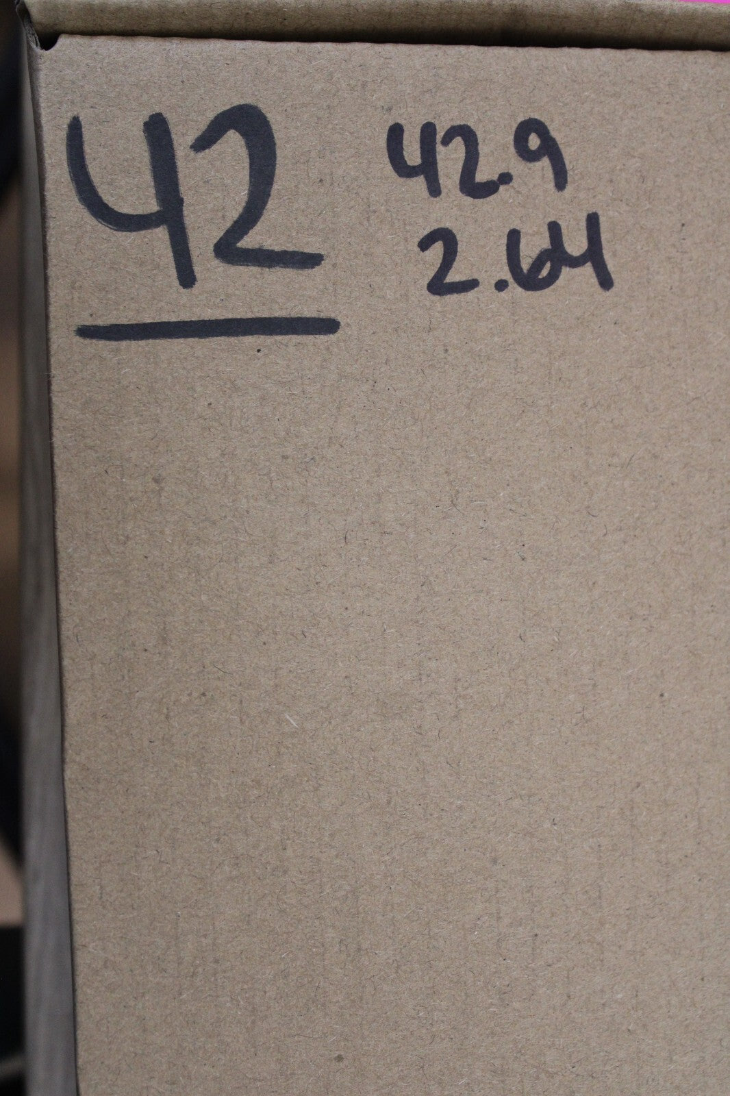 Authentic Megadolon Shark Tooth 2.64 Inch 42 Grams Fossil Dinosaur Girl COA M42