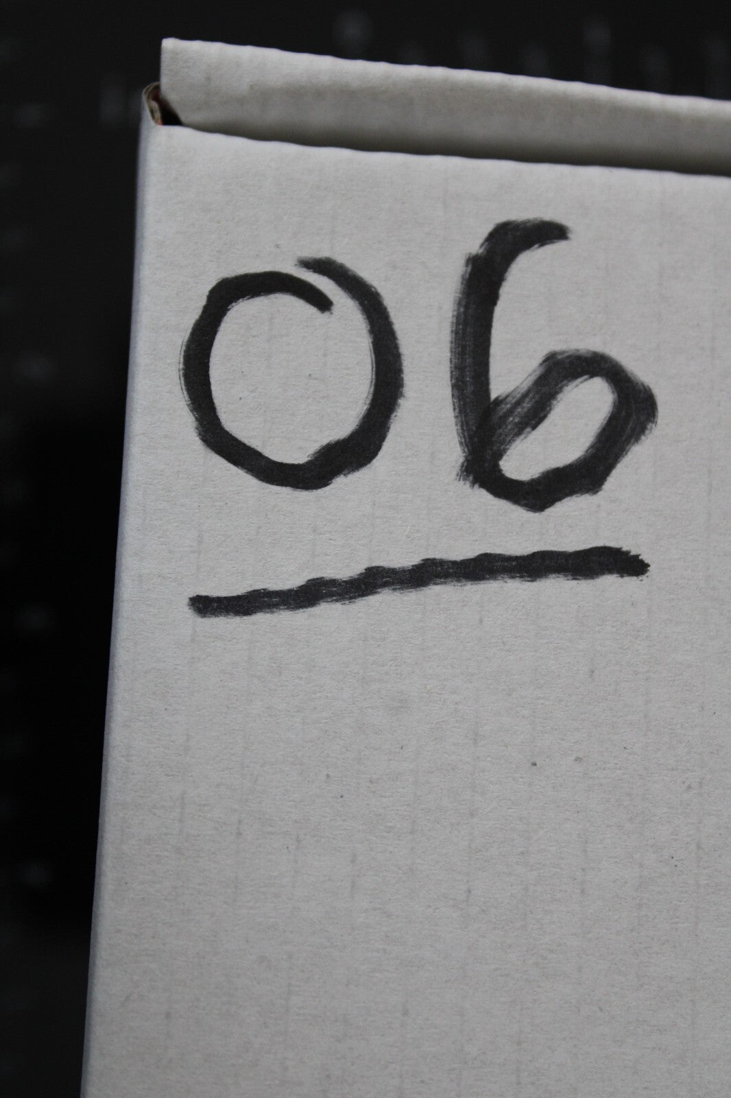 Giant Lizard Poop 5 Million Years Old Genuine Real Fossil Dinosaur Girl COA L06