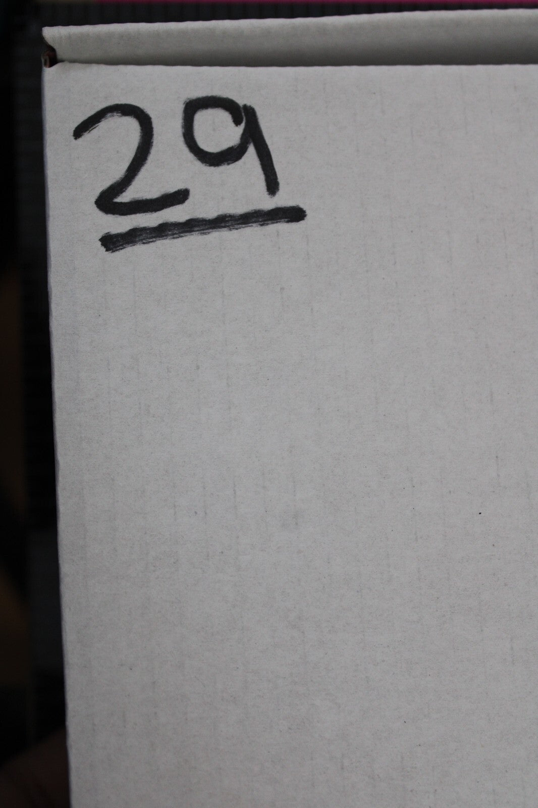 Giant Lizard Poop 5 Million Years Old Genuine Real Fossil Dinosaur Girl COA L29