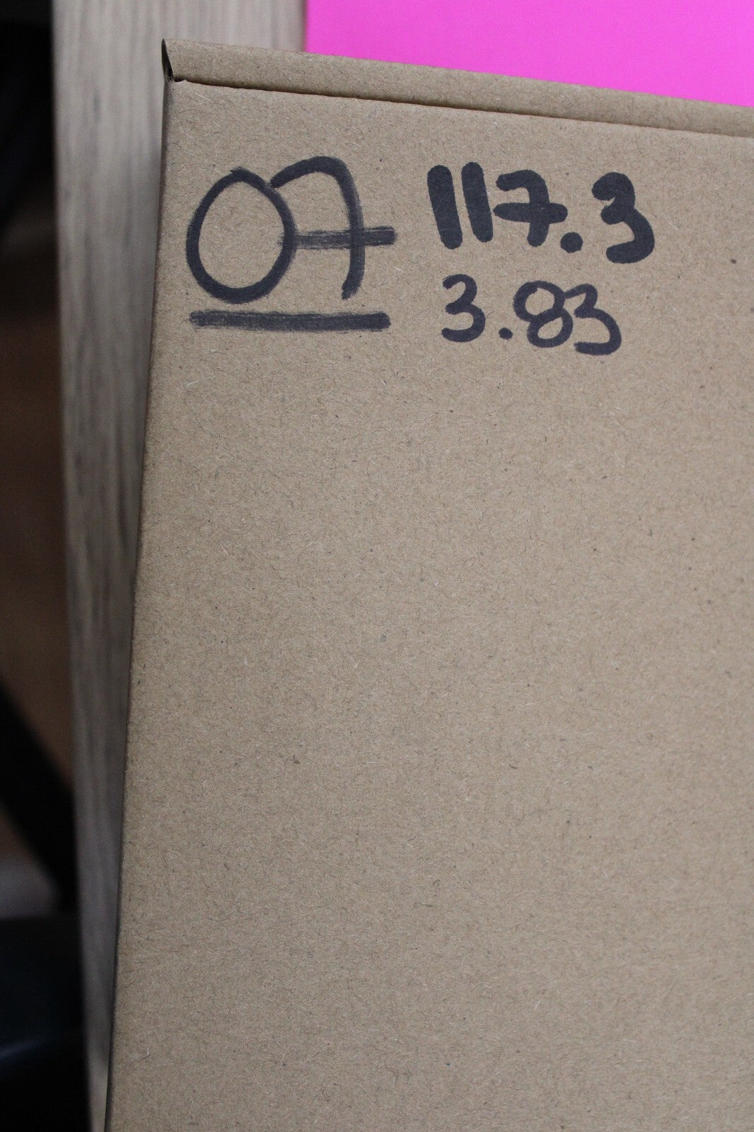 Authentic Megadolon Shark Tooth 3.83 Inch 117 Grams Fossil Dinosaur Girl COA M07