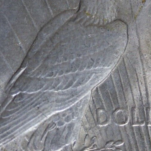 Toned High Grade 1923 P Liberty Peace Silver Dollar Exact Coin In Pics 29
