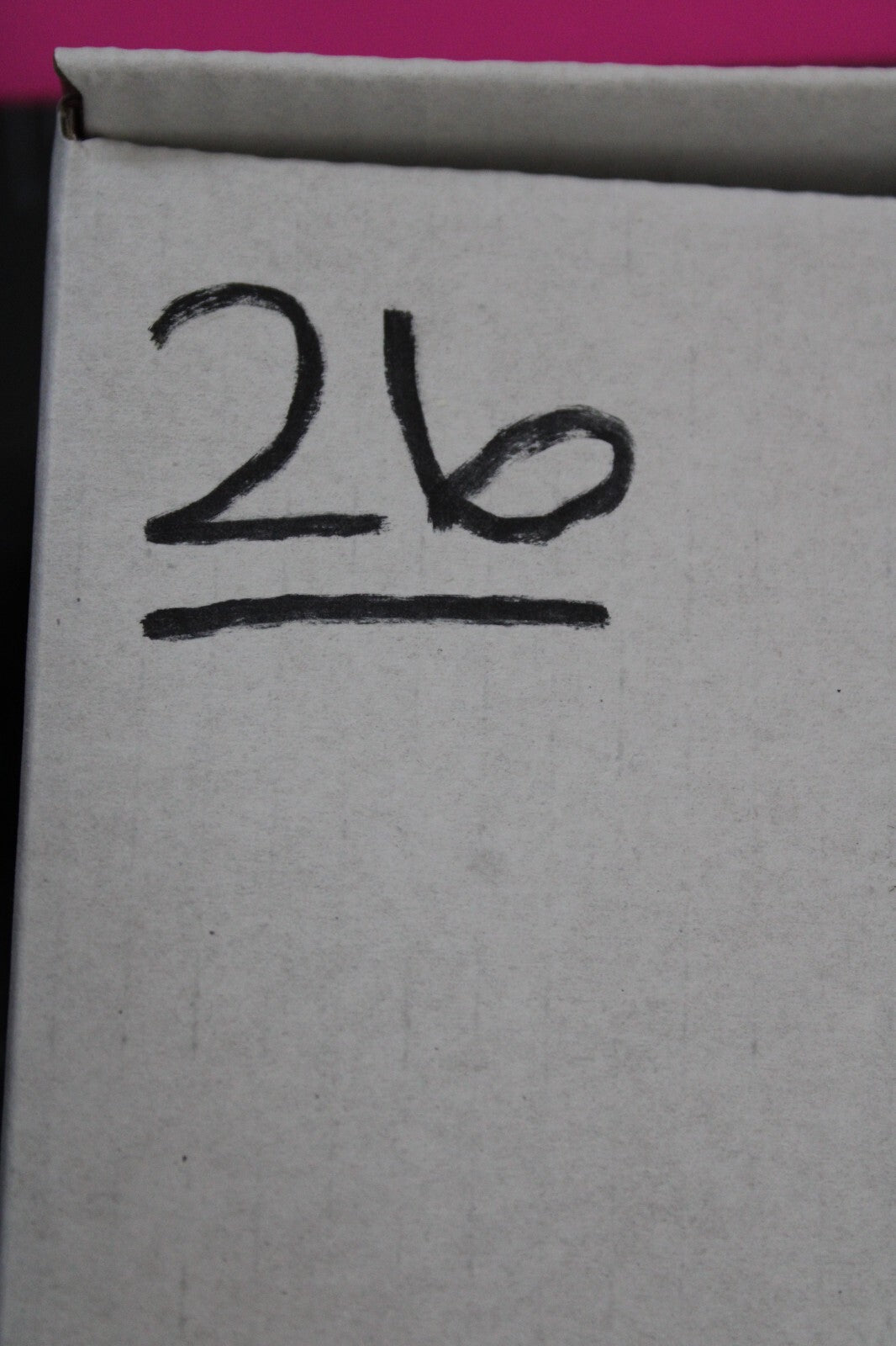 Giant Lizard Poop 5 Million Years Old Genuine Real Fossil Dinosaur Girl COA L26