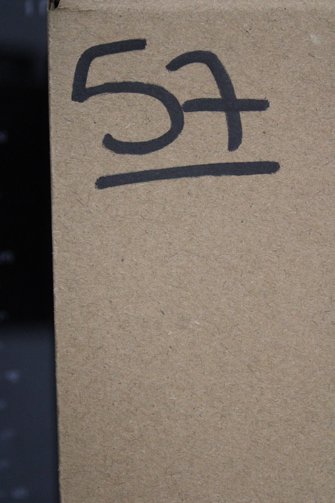 Giant Lizard Poop 5 Million Years Old Genuine Real Fossil Dinosaur Girl COA S57