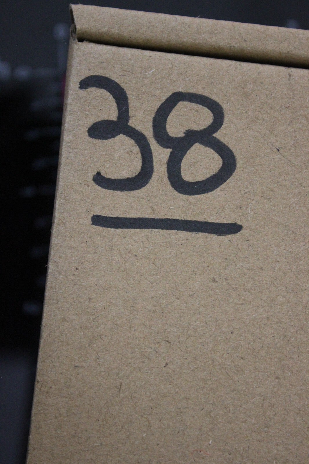 Giant Lizard Poop 5 Million Years Old Genuine Real Fossil Dinosaur Girl COAS38