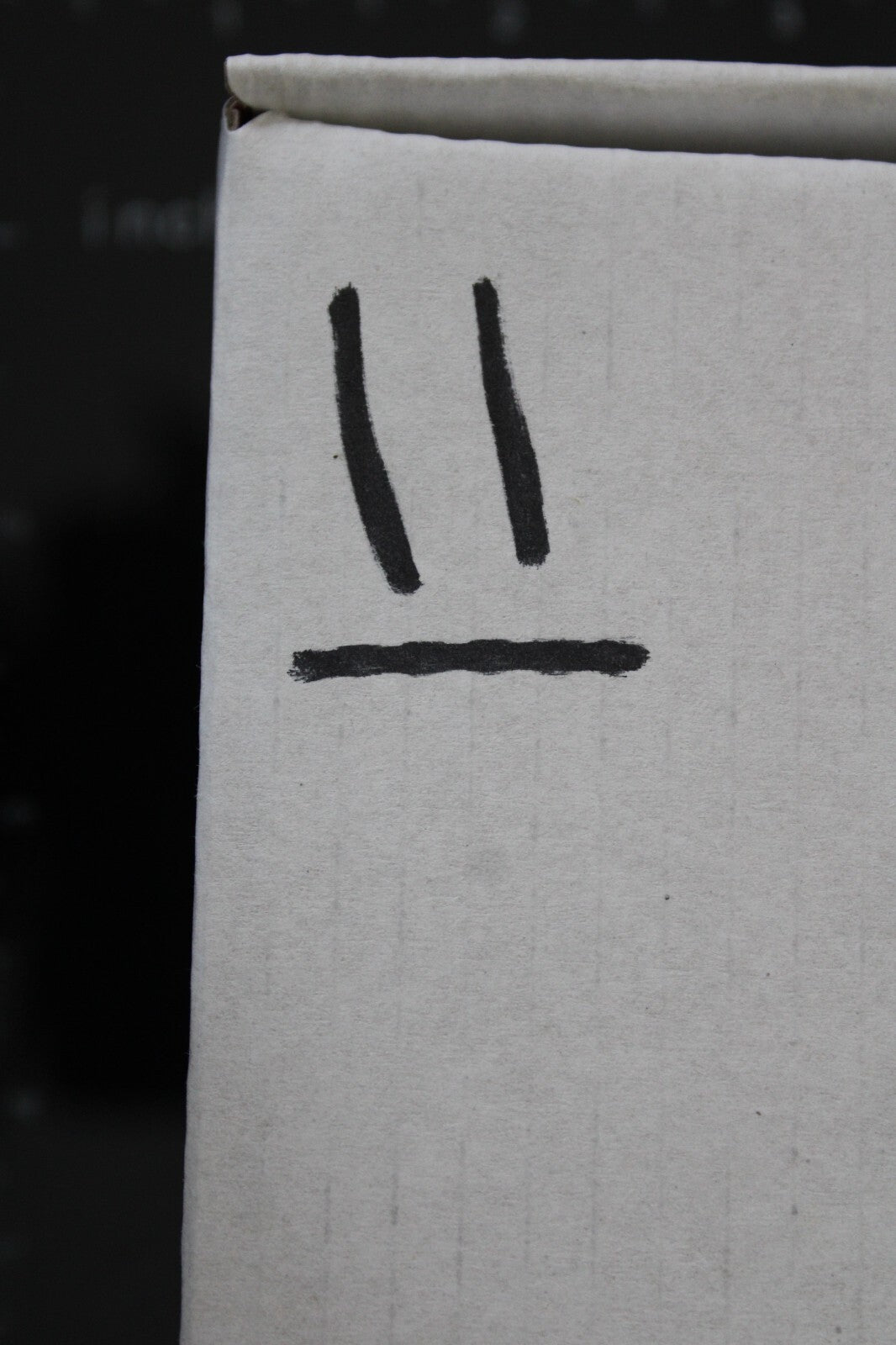 Giant Lizard Poop 5 Million Years Old Genuine Real Fossil Dinosaur Girl COA L11