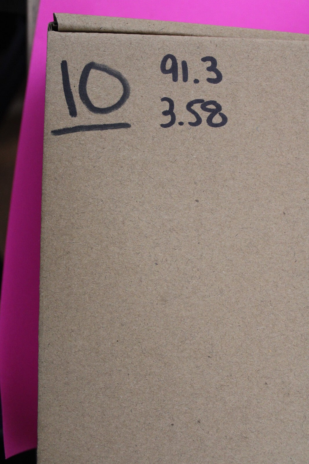 Authentic Megadolon Shark Tooth 3.58 Inch 91 Grams Fossil Dinosaur Girl COA M10