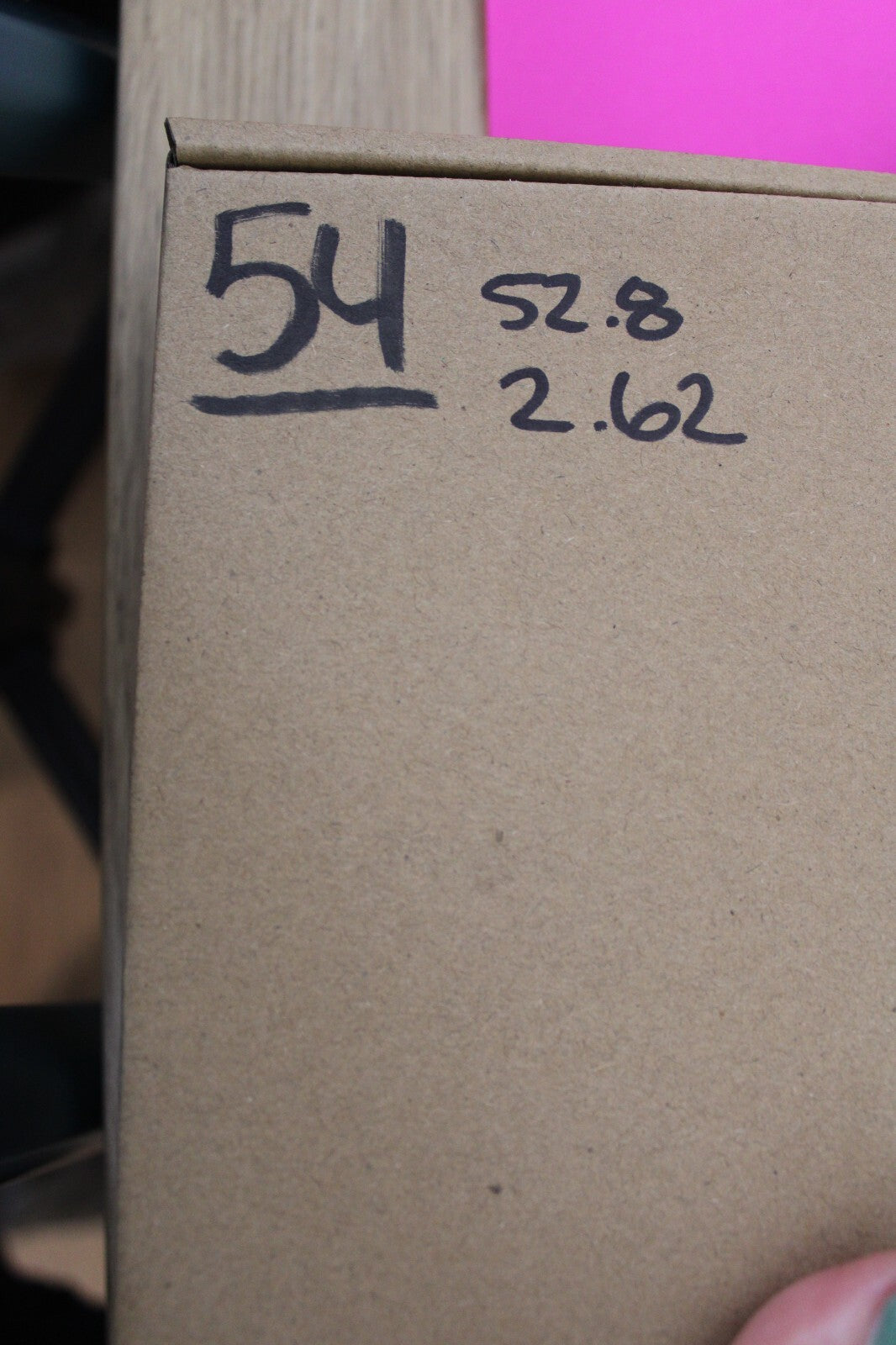 Authentic Megadolon Shark Tooth 2.62 Inch 52 Grams Fossil Dinosaur Girl COA M54