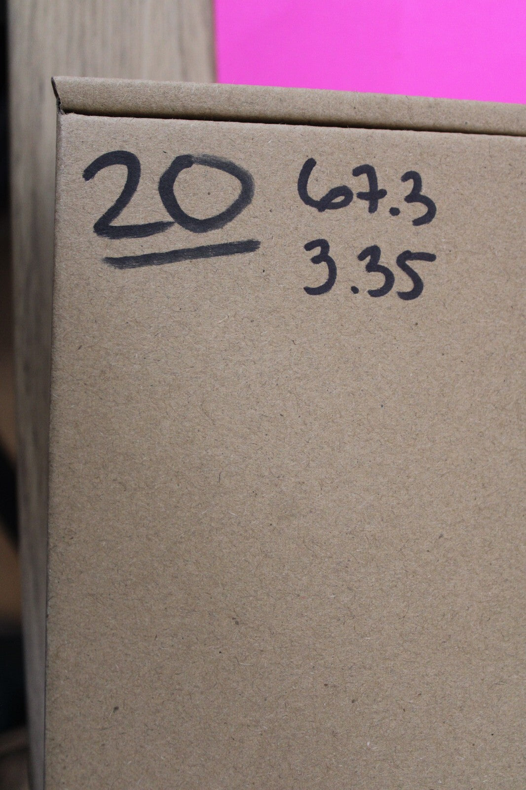 Authentic Megadolon Shark Tooth 3.35 Inch 67 Grams Fossil Dinosaur Girl COA M20