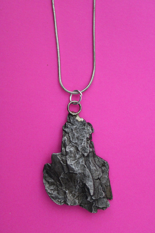 Meteorite Necklace W/ Chain Campo Del Cielo 15 Grams Real Dinosaur Girl COA 21