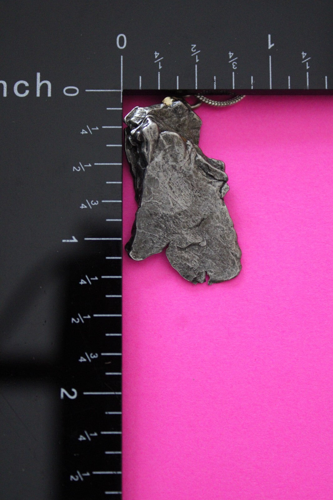 Meteorite Necklace W/ Chain Campo Del Cielo 8.43 Grams Real Dinosaur Girl COA 23