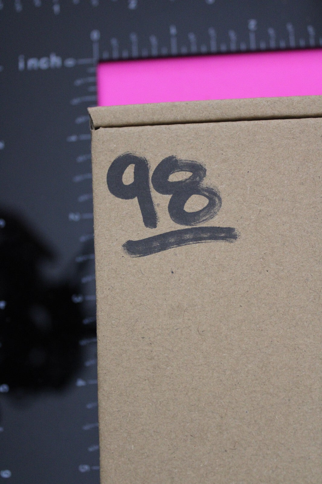 Authentic Trilobite Fossil 450 Million Years Old Genuine Dinosaur Girl COA 98