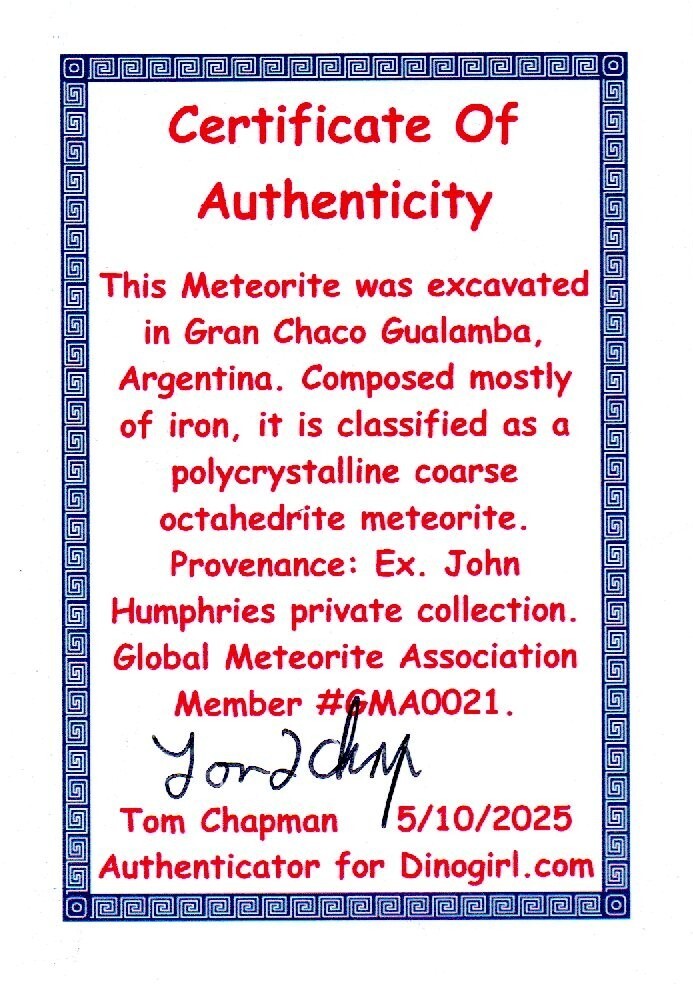Meteorite Necklace W/ Chain Campo Del Cielo 8.2 Grams Real Dinosaur Girl COA 49