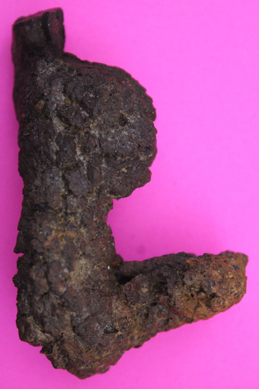 Giant Lizard Poop 5 Million Years Old Genuine Real Fossil Dinosaur Girl COA L29