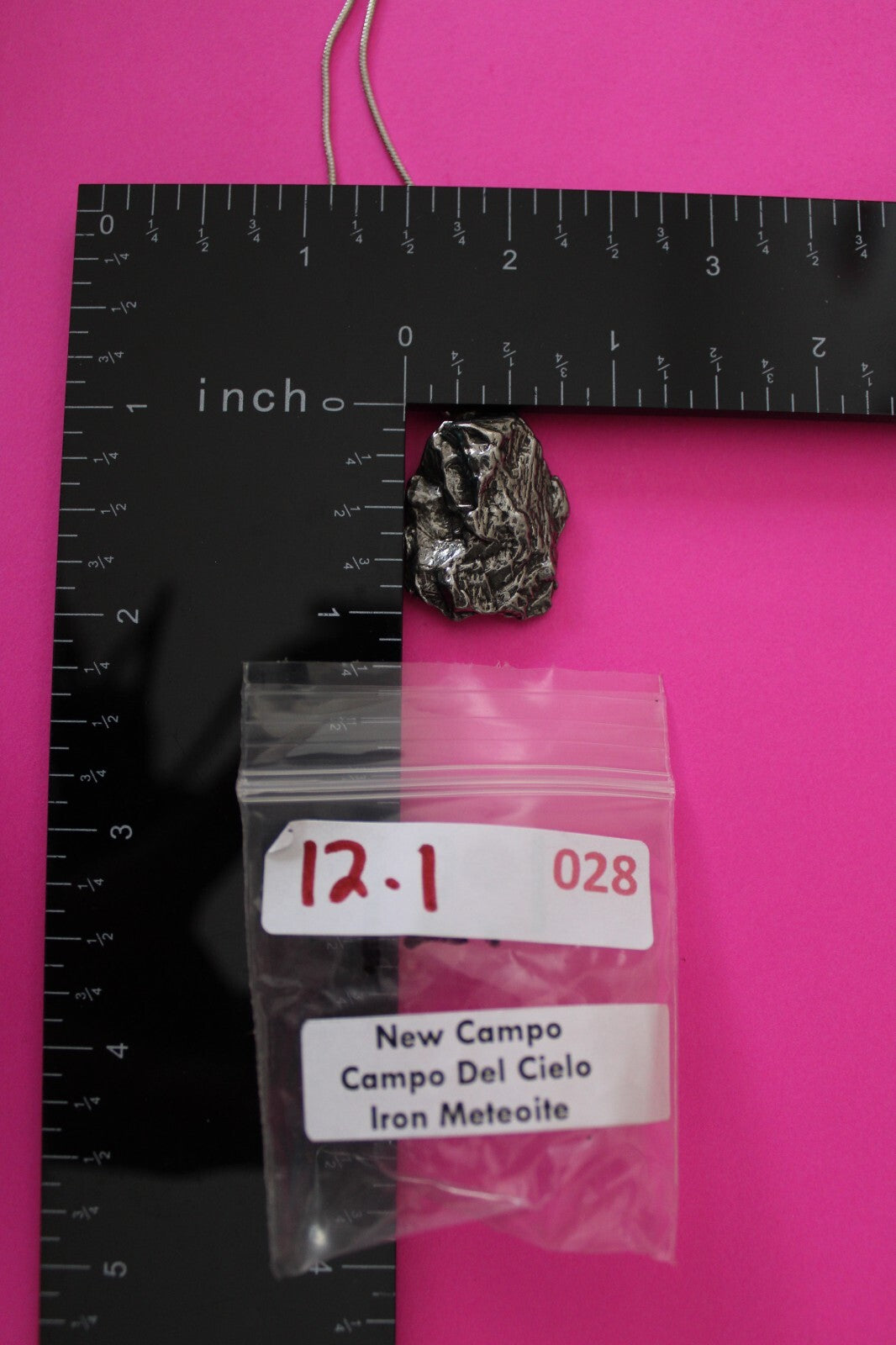 Meteorite Necklace W/ Chain Campo Del Cielo 12.1 Grams Real Dinosaur Girl COA 28