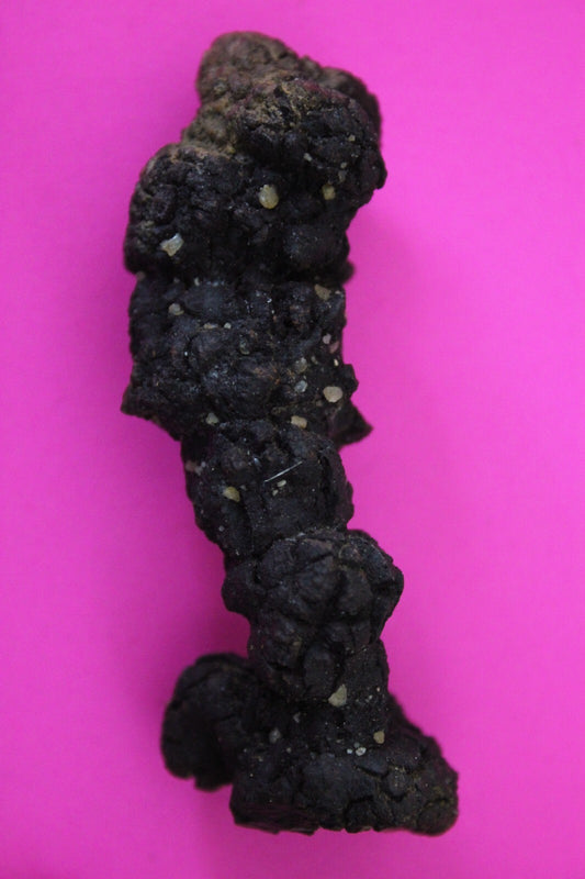 Giant Lizard Poop 5 Million Years Old Genuine Real Fossil Dinosaur Girl COA S37