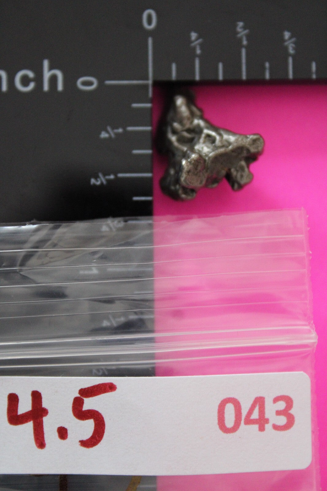 Meteorite Necklace W/ Chain Campo Del Cielo 4.5 Grams Real Dinosaur Girl COA 43