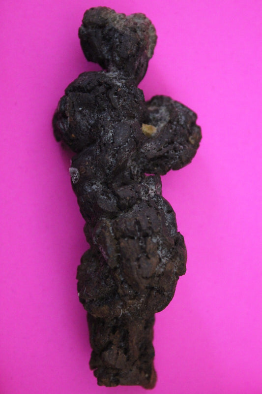 Giant Lizard Poop 5 Million Years Old Genuine Real Fossil Dinosaur Girl COA S15