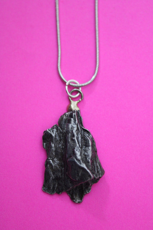 Meteorite Necklace W/ Chain Campo Del Cielo 9.58 Grams Real Dinosaur Girl COA 08