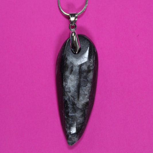 Authentic Orthoceros Necklace Fossil 500 Million Years Old Dinosaur Girl COA 59