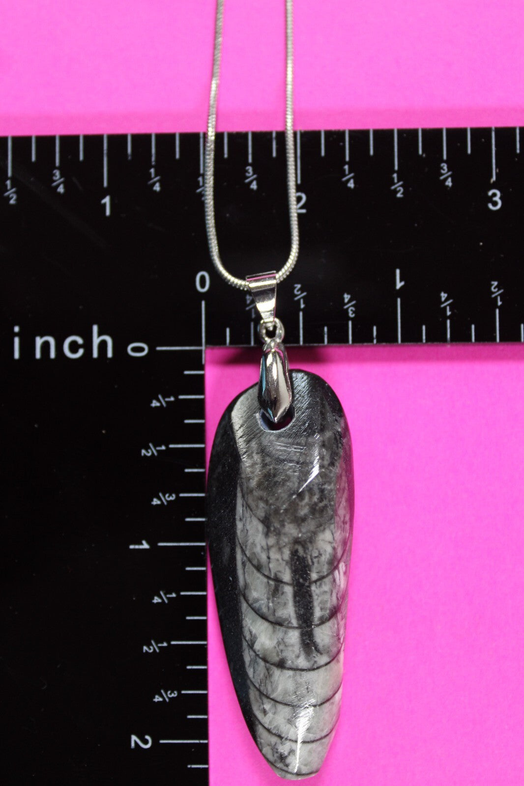 Authentic Orthoceros Necklace Fossil 500 Million Years Old Dinosaur Girl COA 54