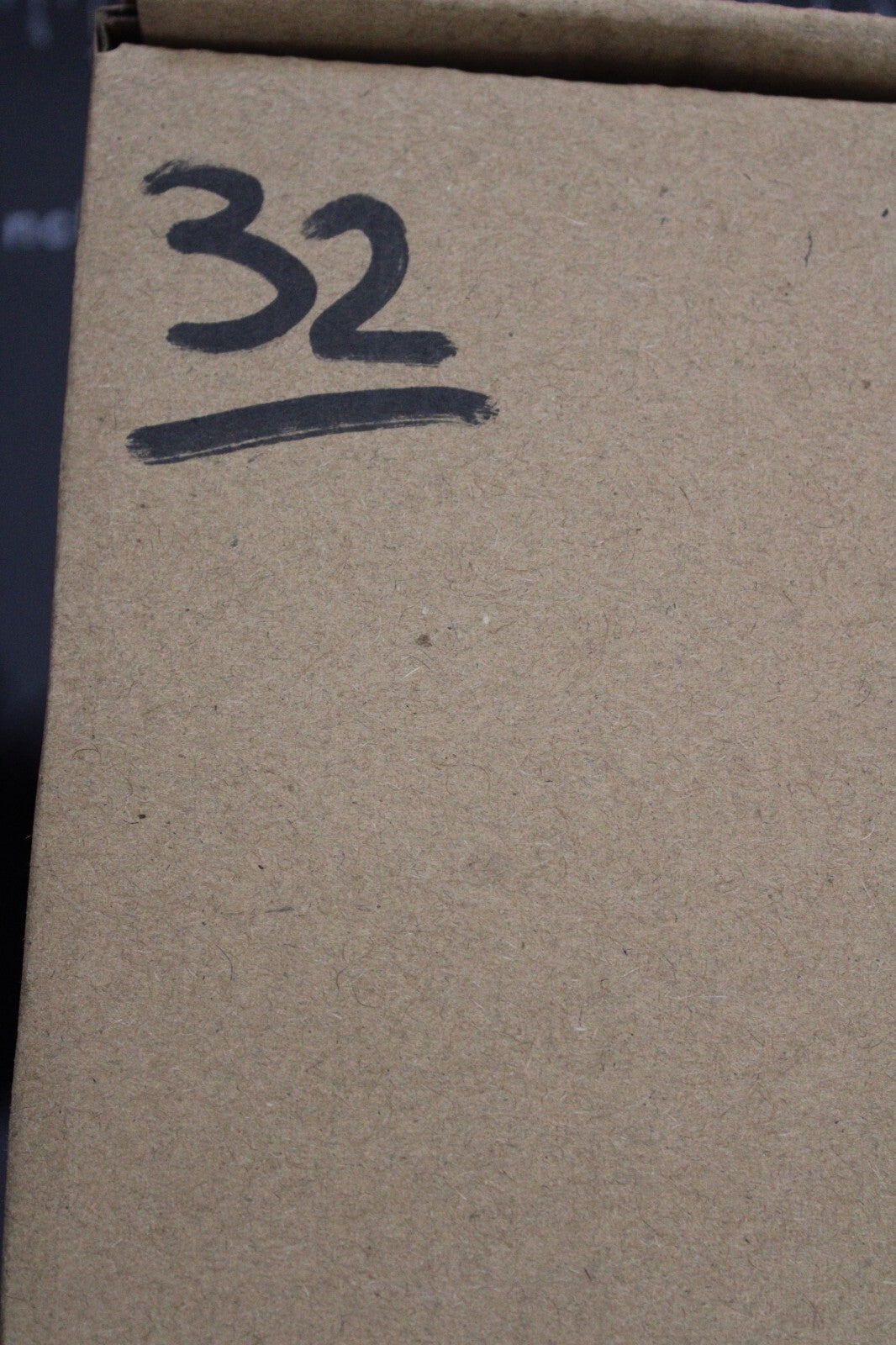 Authentic Trilobite Fossil 450 Million Years Old Genuine Dinosaur Girl COA 32