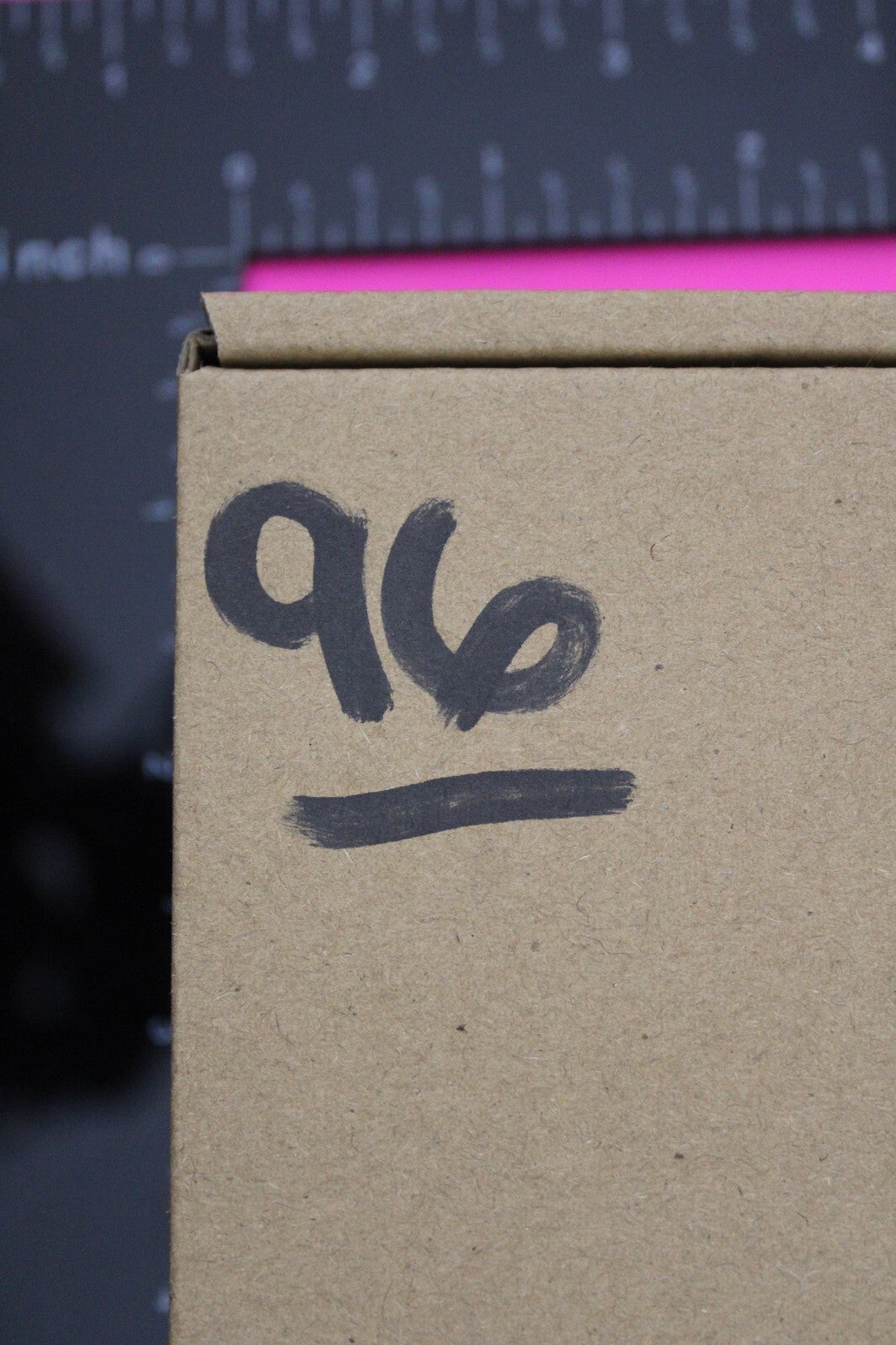 Authentic Trilobite Fossil 450 Million Years Old Genuine Dinosaur Girl COA 96